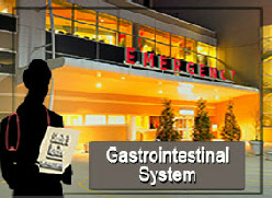 Gastrointestinal System pt 1